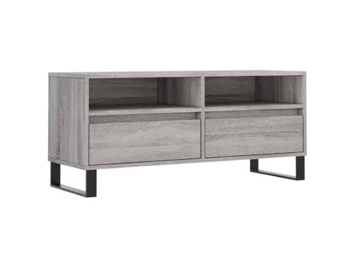 Favemtsl TV-Schrank Grau Sonoma 100x34,5x44,5 cm Lowboard Kompaktes Fernsehmöbel für Wohnzimmer oder Schlafzimmer: 2 Schubladen und 2 Fächer bieten nützlichen Stauraum.