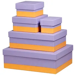 Rhodiarama Set mit 5 ineinander schachtelbaren Boxen aus Kunstleder, 44x34x16cm - Schwertlilie 318889C