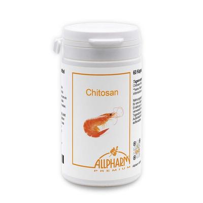 Chitosan 500 mg Kapseln 60 St