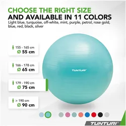 Tunturi, Gymnastikball, (75 cm)
