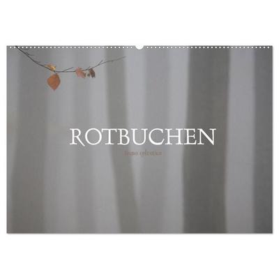 Rotbuchen (Wandkalender 2027 DIN A2 quer), CALVENDO Monatskalender