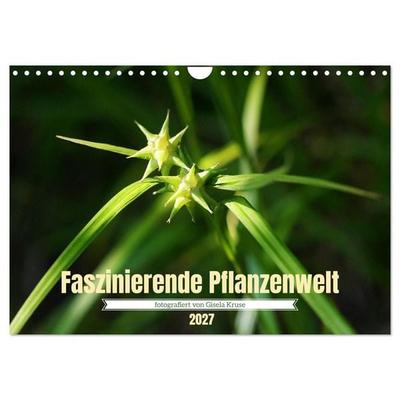 Faszinierende Pflanzenwelt (Wandkalender 2027 DIN A4 quer), CALVENDO Monatskalender
