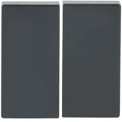 Busch-Jaeger 6736FoH-81 Wippe für Smart Switch 2-fach anthrazit - Plattform 63 2CKA006730A0133 6736FoH81