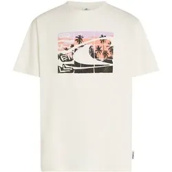 O'NEILL Herren Shirt GRADIENT T-SHIRT, Größe L in Pink Pink