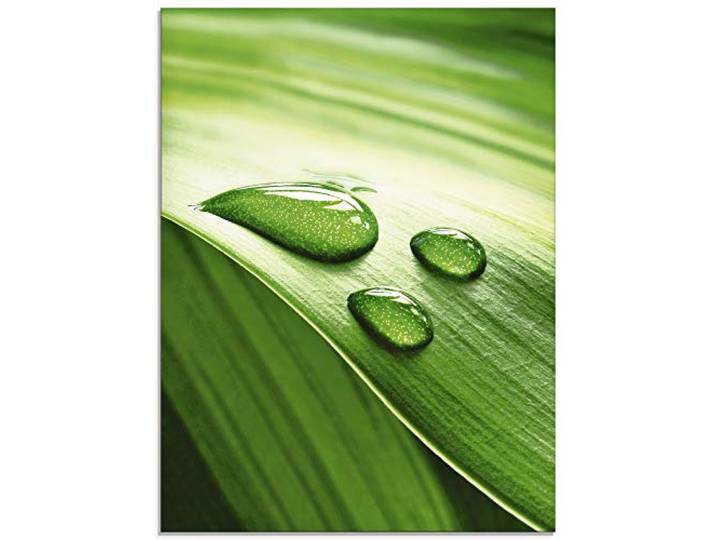ARTland Wanddeko Glasbilder Wandbild Glas Bild einteilig 45x60 cm Hochformat Natur Pflanzen Blätter Wassertropfen Zen S6RI