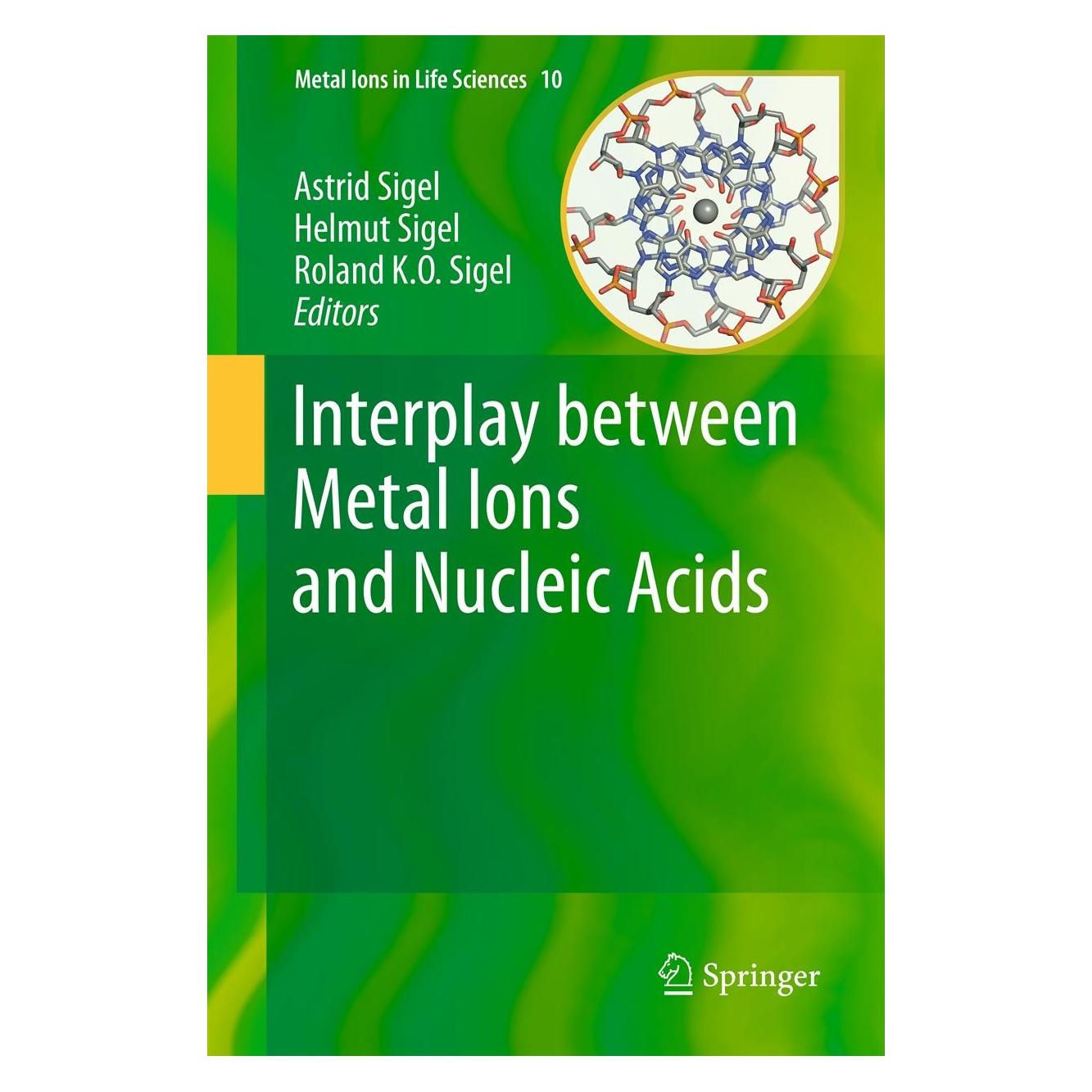 Springer Interplay between Metal Ions and Nucleic Acids (Englisch, Hardcover, Astrid Sigel, Helmut Sigel, Roland K. O. Sigel) (9789400721715)