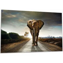 Wallario Herdabdeckplatte 60 x 52 cm (BxH), 1-teilig Elefant bei Sonnenaufgang in Afrika