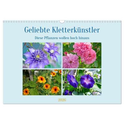 Geliebte Kletterkünstler (Wandkalender 2026 DIN A3 quer), CALVENDO Monatskalender