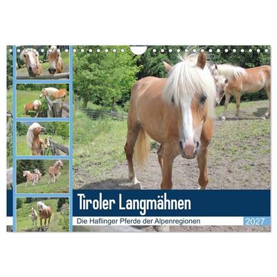 Tiroler Langmähnen (Wandkalender 2027 DIN A4 quer), CALVENDO Monatskalender