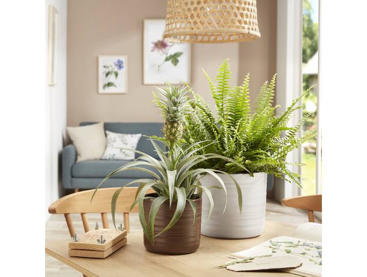 Cache-pot 28/850 Ø 26cm Beige