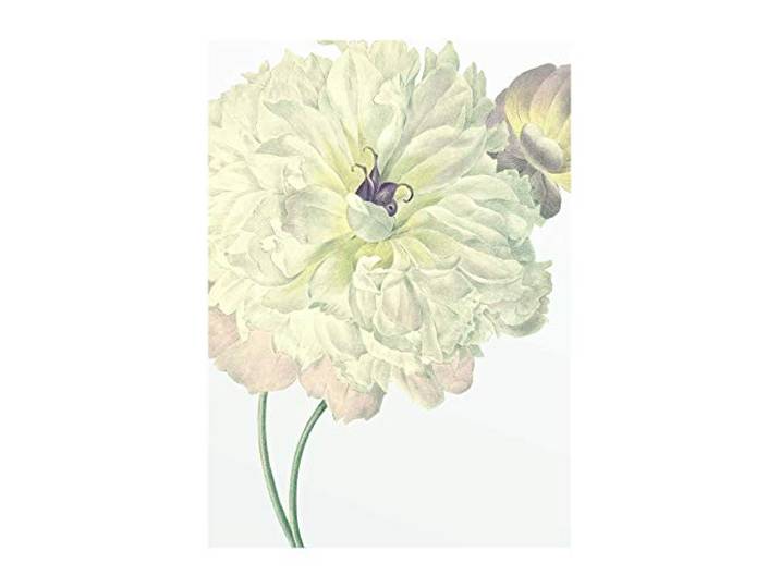 Komar Wandbild Illustration Dahlia Poster, Bild, Wohnzimmer, Schlafzimmer, Dekoration, Kunstdruck ohne Rahmen P063-30x40 Größe: 30 x 40 cm (Breite x Höhe)