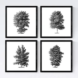 POSTER Set mit 4 Blättern der Hohe Bäume Hintergrund 20x20cm Rahmenlos