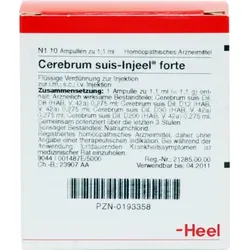 CEREBRUM SUIS Injeel forte Ampullen 10 St