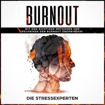 Burnout - Die Stressexperten, Audio, 9783969316603