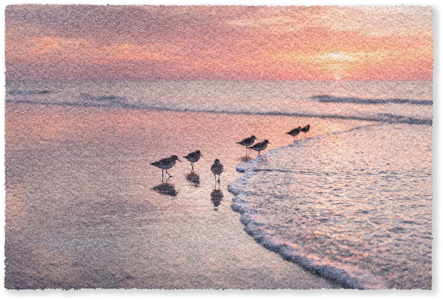 Deurmat Meeuwen Strand en Zee Roze - Schoonloopmat voor binnen - B/D: 120 x 80 cm