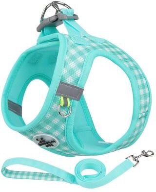 Uplift Essentials Professional Adjustable Reflective Kitten Chest Strap & Leash Set green s