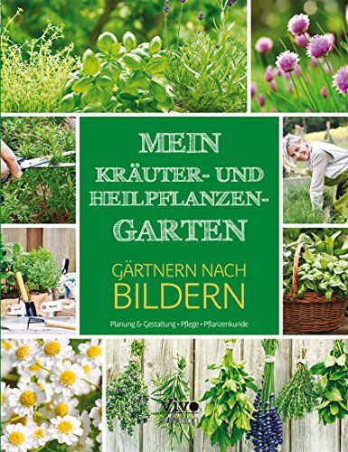 Mewin Kräuter und Heilpflanzen Garten - Gärtnern nach Bildern - Preis vom 11.10.2026 15:43:13 h