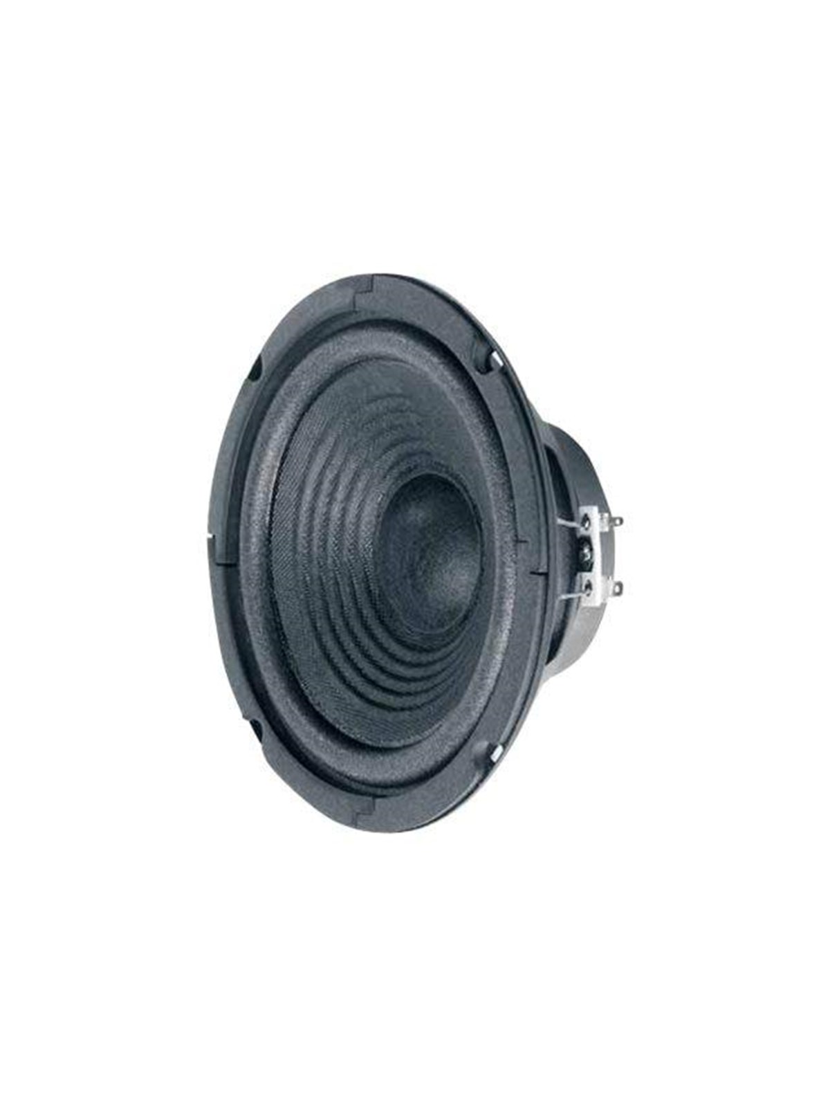 Visaton W 170 - speaker driver