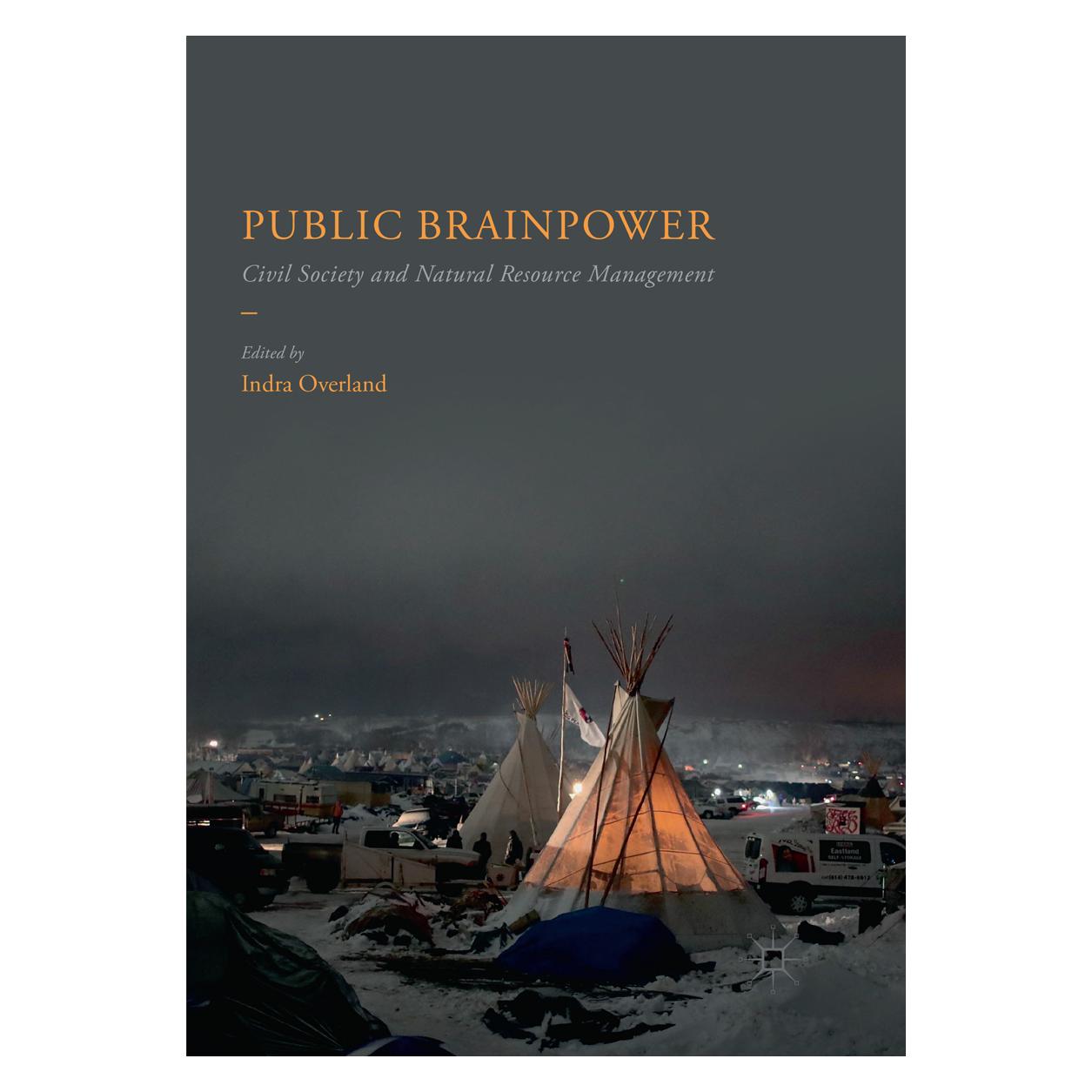 Springer Public Brainpower (Englisch, Softcover, Indra Overland) (56052415)