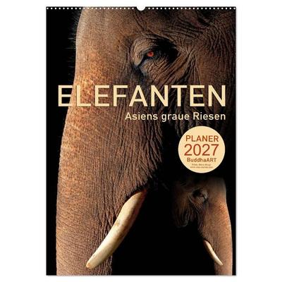 ELEFANTEN - Asiens graue Riesen (Wandkalender 2027 DIN A2 hoch), CALVENDO Monatskalender