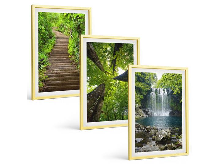 BILDER SET 3er Set - 40x60 cm Goldrahmen - Pfad Wald Wasserfall Vegetation