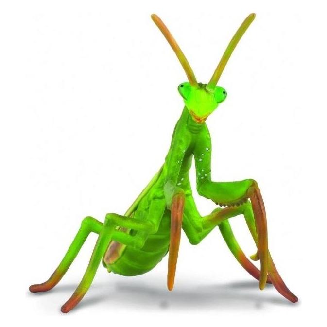 Collecta Sammler-Mantis-Figur (004-88351) (004-88351)