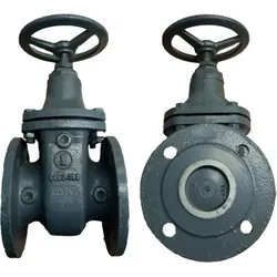 SFA Absperrschieber DN 65 GG HYDRO-00094 passend für Sanipump VX 65