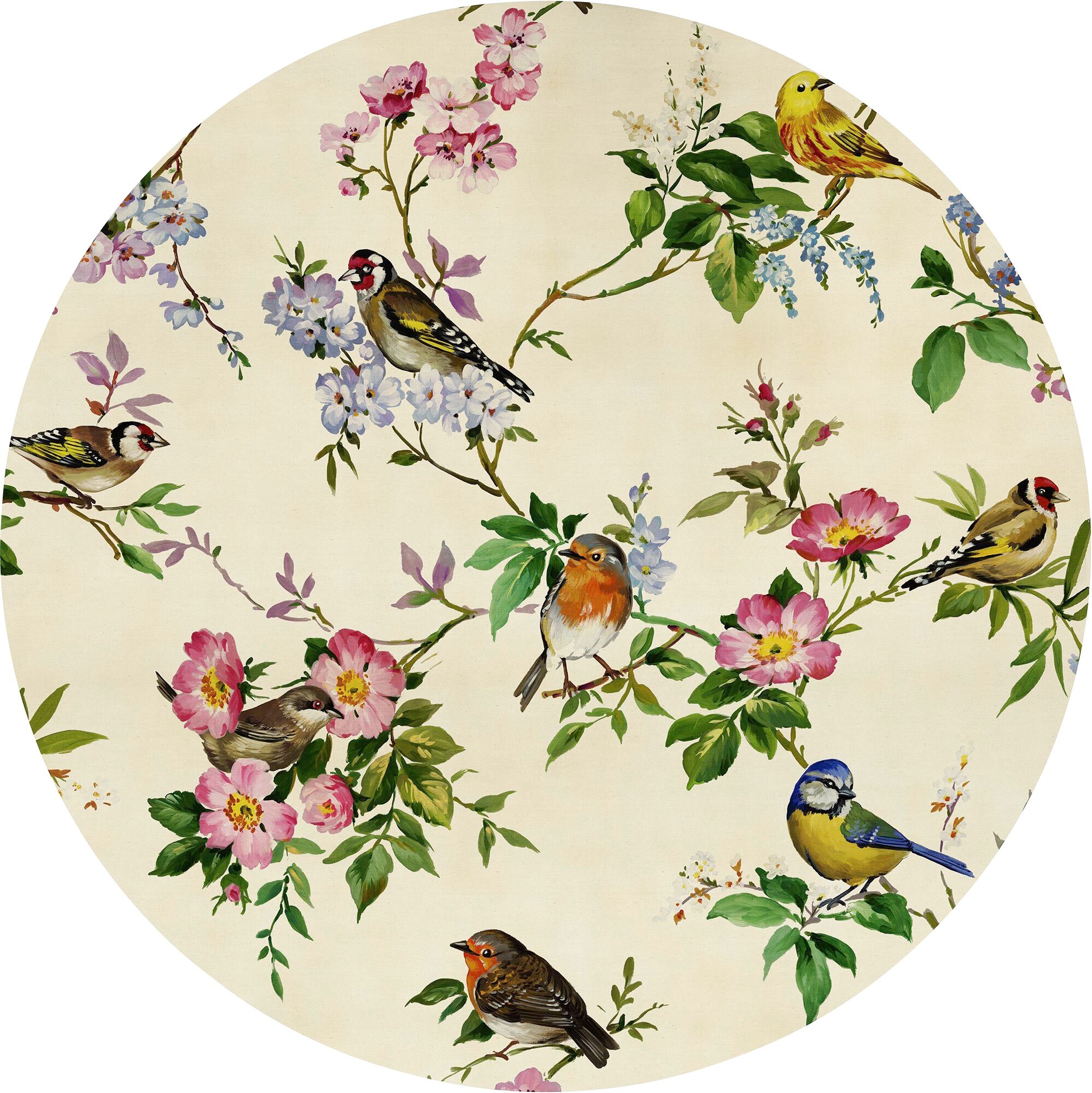 Fototapete KOMAR "Vlies selbstklebend - Bird Party - Grösse 125 x 125 cm", bunt, B:125m L:125m, Vlies, Tapeten, Fototapete, Wohnzimmer, Schlafzimmer bunt B/L: 125m x 125m, Rollen: 1