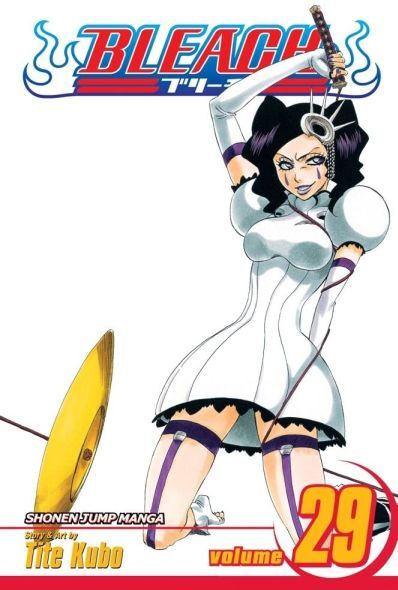 Viz Media Bleach Paperback Manga-Vol. 29 (Diversen) Nieuw