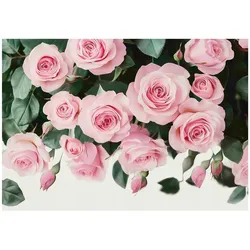 FOTOTAPETE Blumen Rosen Schlafzimmer 350x250