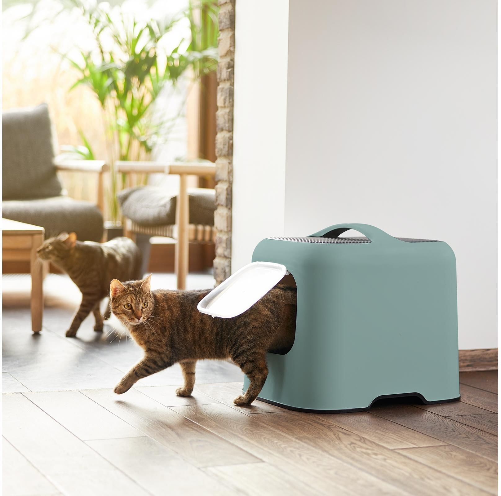 Katzentoilette ROTHO "BIALA", grau (grün), B:35,9cm H:44,3cm L:51cm, Tiertoiletten, Katzentoilette grün B/H/L: 35,9cm x 44,3cm x 51cm