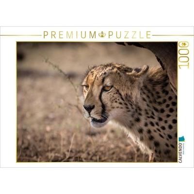 CALVENDO Puzzle Gepard, Botswana 2017 | 1000 Teile Lege-Größe 64x48cm Foto-Puzzle für glückliche Stunden