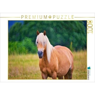 CALVENDO Puzzle Haflinger | 1000 Teile Lege-Größe 64x48cm Foto-Puzzle für glückliche Stunden, Sonstige von , Calvendo Puzzle