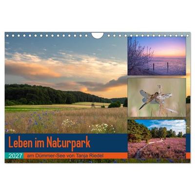 Leben am Naturpark um den Dümmer See (Wandkalender 2027 DIN A4 quer), CALVENDO Monatskalender