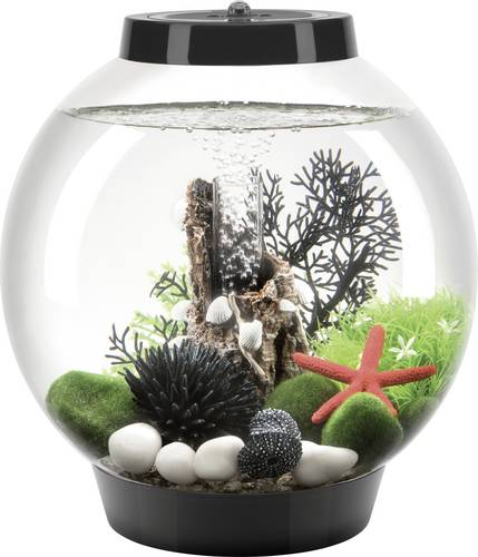 Oase 71999 biOrb CLASSIC 15 LED schwarz Aquarium EEK: G (A - G) 15l mit LED-Beleuchtung