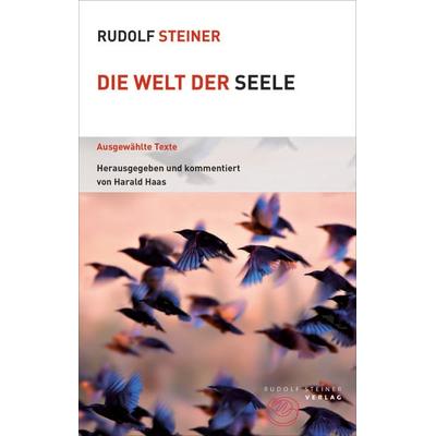 Die Welt der Seele, Taschenbuch von Rudolf Steiner, Rudolf Steiner, 978-3-7274-5361-8