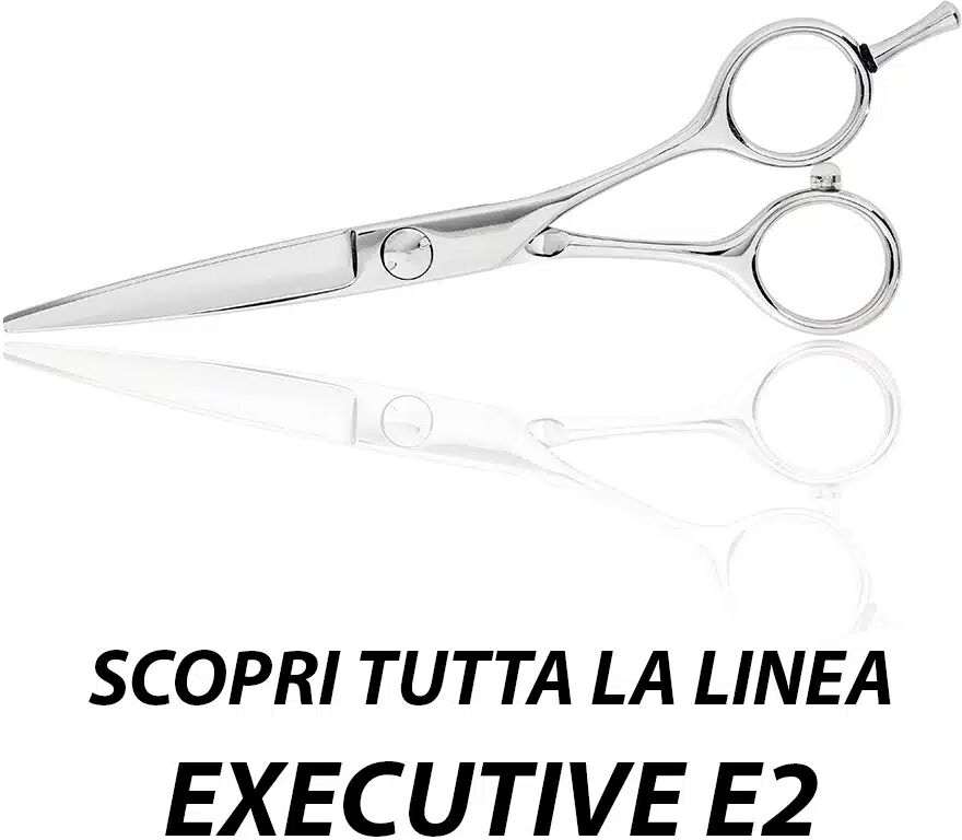 FORBICI PER CAPELLI PROFESSIONALI LINEA EXECUTIVE E2 Taglio 6