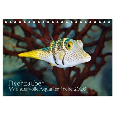 Fischzauber - Wundervolle Aquarienfische (Tischkalender 2026 DIN A5 quer), CALVENDO Monatskalender