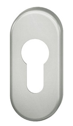 FSB Schlüsselrosette 17 1757, verdeckt verschraubt, Aluminium 0 17 1757 00010 8220