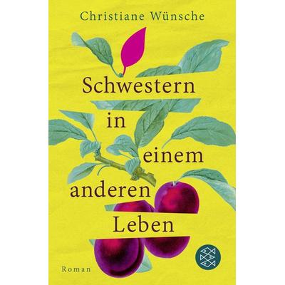 Schwestern in einem anderen Leben, Taschenbuch von Christiane Wünsche, Fischer Taschenbuch Verlag, 978-3-596-71207-6