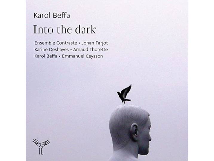 Ensemble Contrastes - Into The Dark