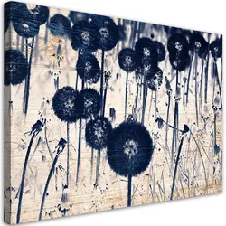WANDBILD pusteblume auf alten brettern