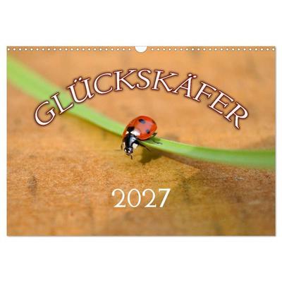Marienkäfer 2027 (Wandkalender 2027 DIN A3 quer), CALVENDO Monatskalender