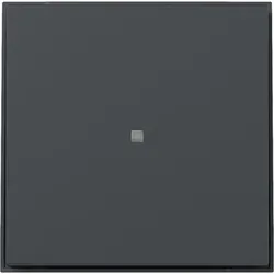 Gira Wippe gerade Kontrollf. 349067