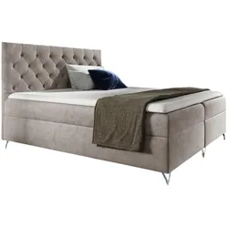 BOXBETT Ambre In Fresh