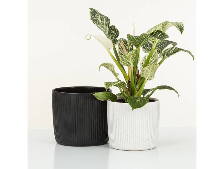 Cache-pot 909/28 Ø 25cm Blanc/Blanc