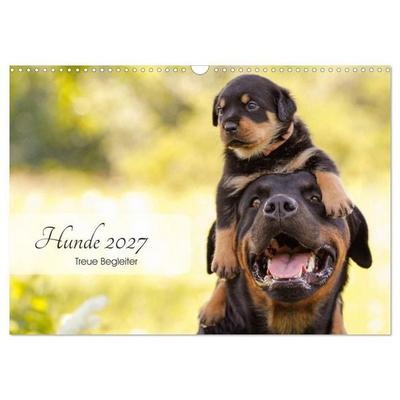Hunde 2027 - Treue Begleiter (Wandkalender 2027 DIN A3 quer), CALVENDO Monatskalender