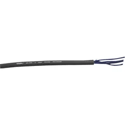DAP MK-422 Studio Multicore 4-paariges Kabel - schwarz