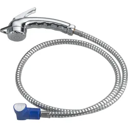 Reich Stellbrause für Versorgungsklappe Charisma Chrom mit 2 Meter Schlauch