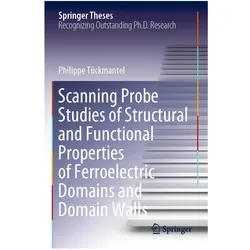 Scanning Probe Studies of Structural and Functional Properties of Ferroelectric Domains and Domain W, Fachbücher von Philippe Tückmantel